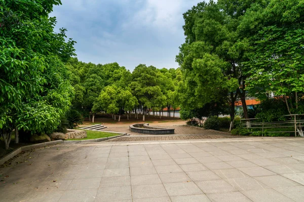 Rua Vazia Agradável Confortável Grande Jardim Sob Lindo Céu Azul — Fotografia de Stock