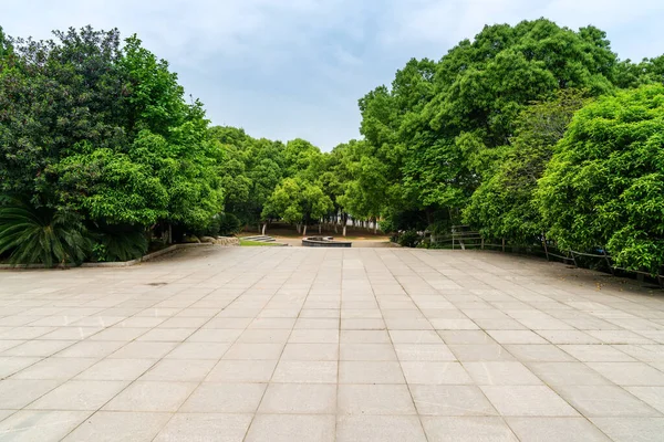 Prázdná Ulice Pěkné Pohodlné Velké Zahradě Pod Krásnou Modrou Oblohou — Stock fotografie