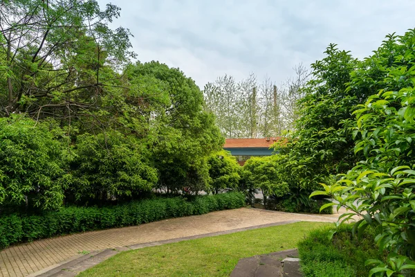 Leere Straße Schönen Und Gemütlichen Großen Garten Unter Herrlich Blauem — Stockfoto