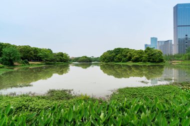 Çin 'deki Lakeside modern ofis binası