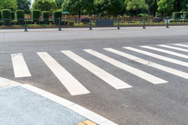 Zebra açık yoldan geçiyor.