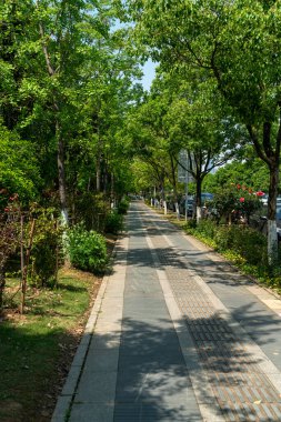 Modern şehirde yürüyüş yolu