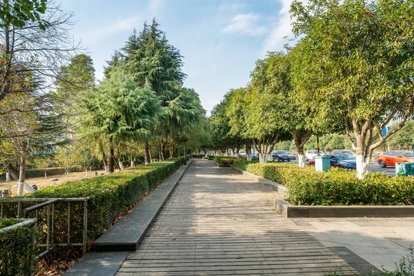 Modern şehirde yürüyüş yolu