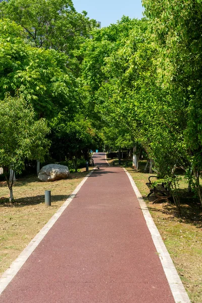 Road City Park China — Stock Photo, Image