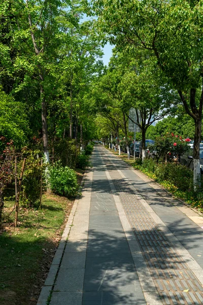 Modern şehirde yürüyüş yolu