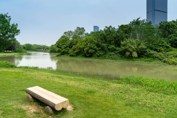 Lush Greener Pond Park — Stock Photo, Image