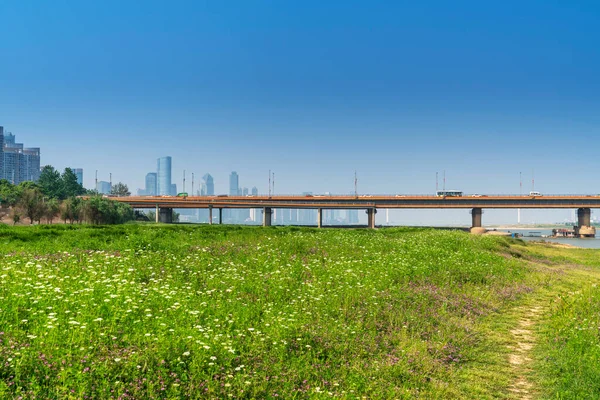 Bloemenveld Park Het Centrum Van Stad Moderne Stad — Stockfoto