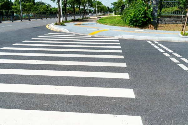 斑马在室外道路上的交叉口 — 图库照片