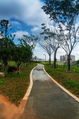 Çin 'deki Şehir Parkı yolu.