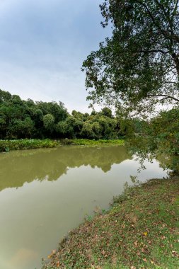 Parktaki göletin çevresi yemyeşil