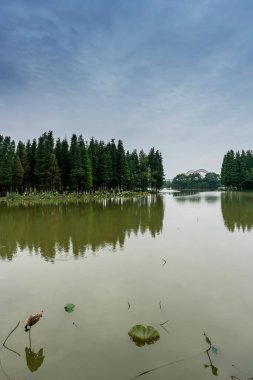 Parktaki göletin çevresi yemyeşil