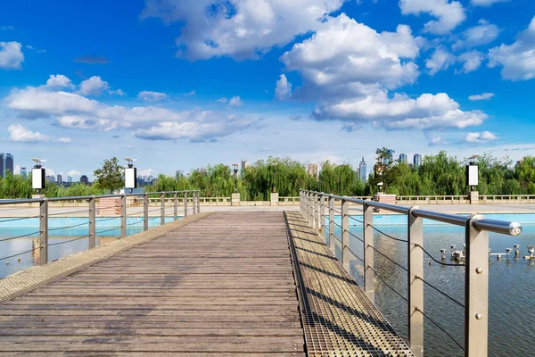 Drewniana Podłoga Balustrady Parku — Zdjęcie stockowe