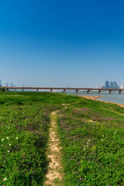 Şehir merkezi ve modern şehrin parkındaki çiçek tarlası.