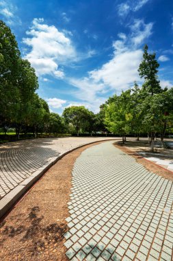 Güzel ve rahat bir bahçede, boş bir sokak. Güzel mavi gökyüzünün altında.