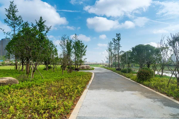 Parque Ciudad Con Fondo Del Edificio Moderno Shangai —  Fotos de Stock