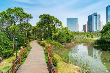 Güzel ve rahat bir bahçede, boş bir sokak. Güzel mavi gökyüzünün altında.