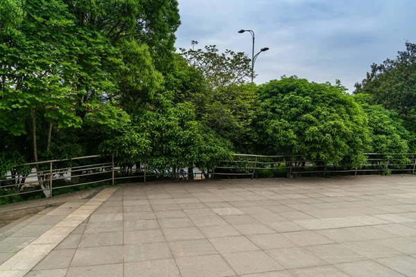 空の正方形の床と緑の森の自然景観 — ストック写真