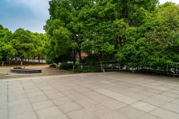 Empty Square Floor Green Forest Natural Landscape — Fotografia de Stock