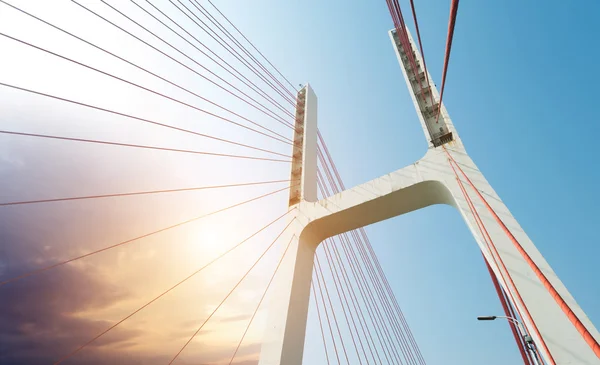 Cables de puente modernos —  Fotos de Stock