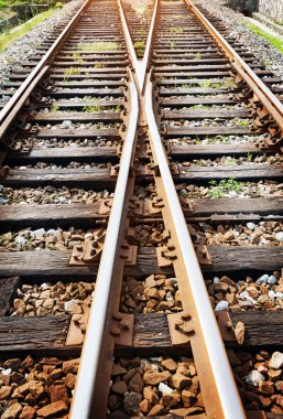 Kargo tren platformu konteyner ile