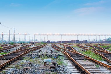 Kargo tren platformu konteyner ile