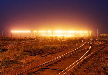 Kargo tren platformu konteyner ile