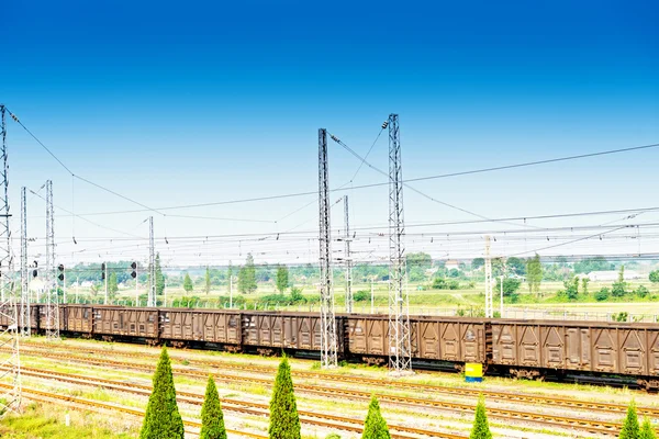 Cargo train platform with container — Stock Photo, Image