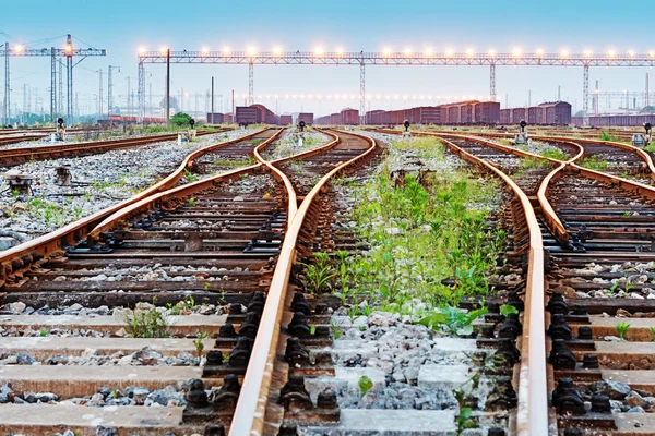 Cargo train platform with container — Stock Photo, Image