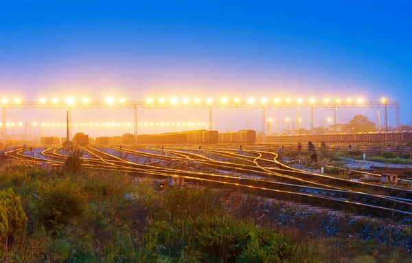 컨테이너 화물 열차 플랫폼 — 스톡 사진