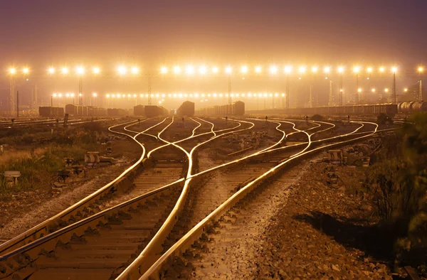 Nákladní vlak platformu s kontejnerem — Stock fotografie