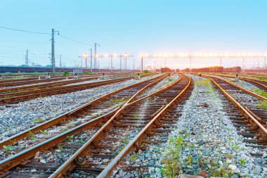 Kargo tren platformu konteyner ile