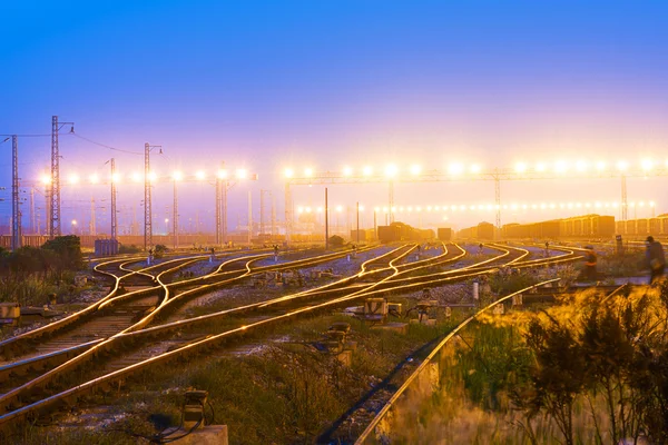 Kargo tren platformu konteyner ile