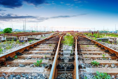 Kargo tren platformu konteyner ile