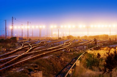 Kargo tren platformu konteyner ile
