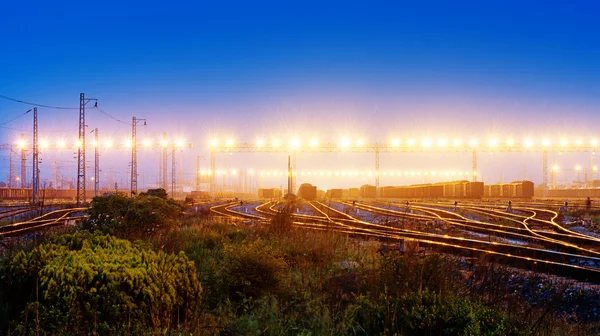 Teherszállító vonat platform konténer — Stock Fotó