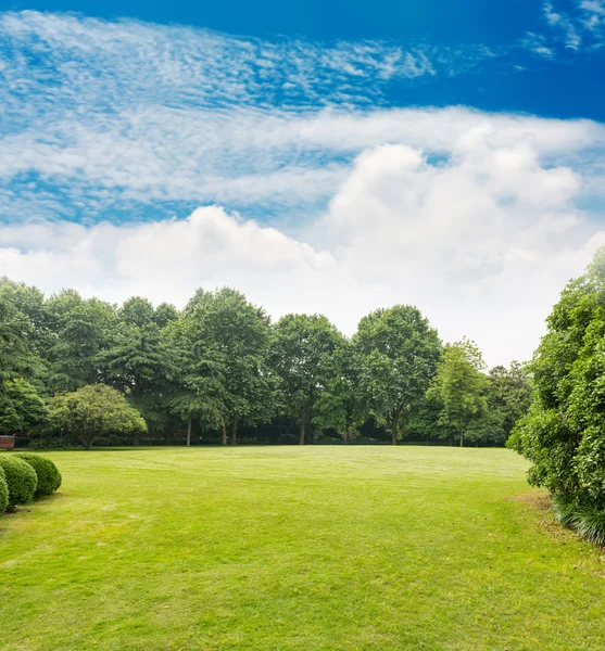 Parque verde con cielo azul — Foto de Stock