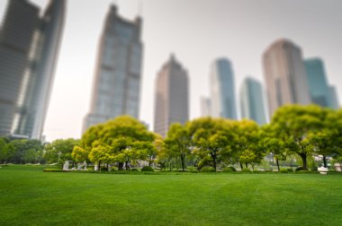 Modern binaların olduğu şehir parkı