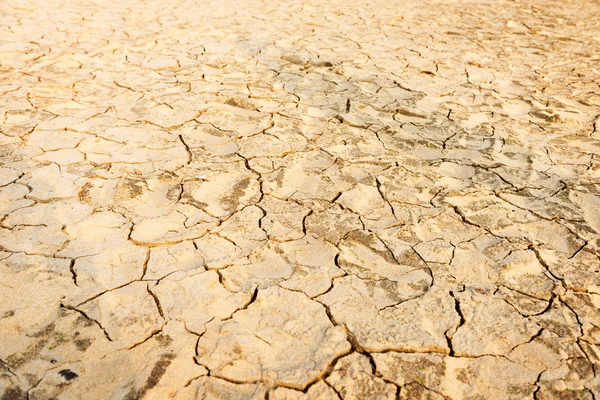 Cracked ground background — Stock Photo, Image