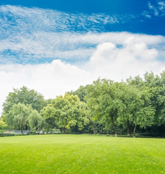 绿色公园与蓝蓝的天空 — 图库照片