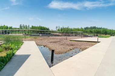 Bahar Parkı ve modern şehir