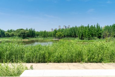 Bahar Parkı ve modern şehir