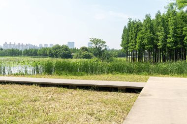 Bahar Parkı ve modern şehir