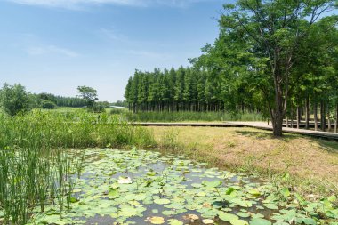 Bahar Parkı ve modern şehir