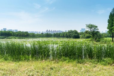 Bahar Parkı ve modern şehir