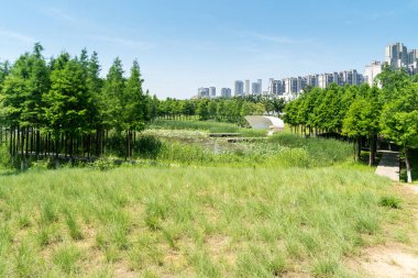 Bahar Parkı ve modern şehir