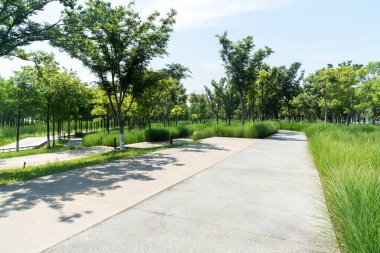 Bahar Parkı ve modern şehir