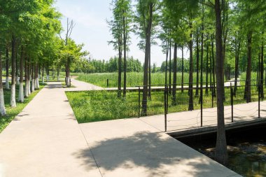 Bahar Parkı ve modern şehir