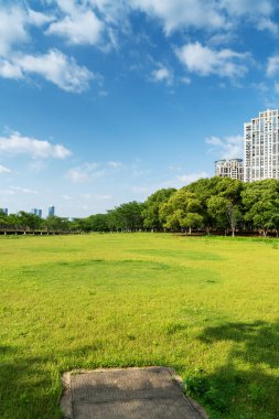 Yeşil şehir parkının güzel manzarası