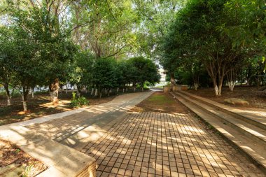 Çin 'deki Şehir Parkı yolu.