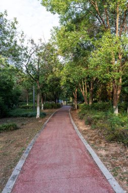 Çin 'deki Şehir Parkı yolu.